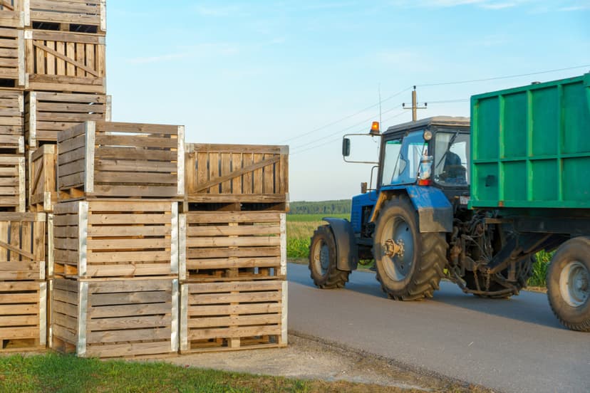 Wooden Crate Sizes - Container Exchanger Wooden Crate Sizes - Container Exchanger